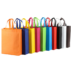 Custom Logo Design selective color SMS Non Woven Fabric Foldable Tote Bag